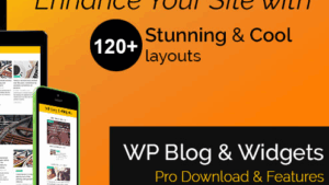 [Fixed*] WP Blog and Widgets Pro v.2.8 [by WpOnlineSupport]