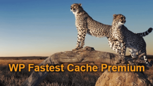 WP Fastest Cache Premium v1.7.2 [Activated]