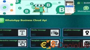WhatsApp Cloud Business API integration .Net Core (with use example) v1.0
