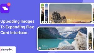 Wiloke Expanding Flex Cards Elementor Addon v1.0.0