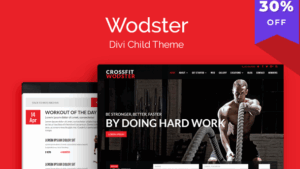 Wodster Theme v1.1.7 [Wp Zone]