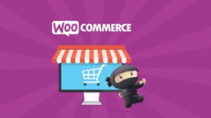 WooCommerce PayPal Advanced v1.24.12