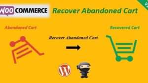 WooCommerce Recover Abandoned Cart v24.6.0 [CodeCanyon]