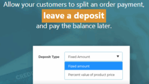 v2.28.0 YITH WooCommerce Deposits and Down Payments Premium [Original Version Number**] Activated