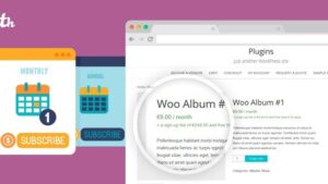 YITH WooCommerce Subscription Premium v4.13.0 [Original Version Number**]