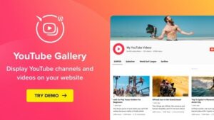 WordPress YouTube Gallery (Yottie) v3.5.0 YouTube Plugin by Elfsight