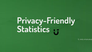 Burst Statistics Pro v1.6.1 Privacy-Friendly Analytics For WordPress