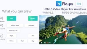 bzplayer Pro v2.1 Live Streaming Player WordPress Plugin