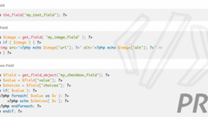 ACF Theme Code Pro v.2.5.6