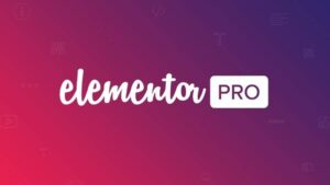 Elementor Pro v3.32.2  [Activated]