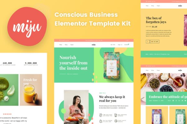 Miju - Conscious Business Elementor Template Kit Download [Activated]