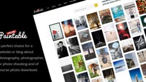 Paintable (v2.6) Photography and Blog / Photos Download WordPress Theme