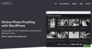 Fixed* picu Pro (v1.4.6) Online Photo Proofing with WordPress
