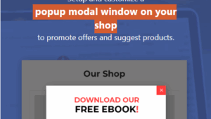 v1.37.0 YITH WooCommerce Popup Premium [Original Version Number**] Activated