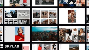 Skylab v3.9.6 Portfolio Photography WordPress Theme (Activated)