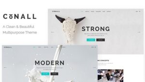 Conall v.2.4 Clean Multipurpose Theme