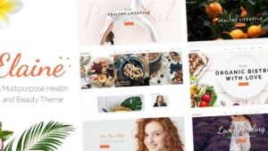 Elaine (v1.6) Modern Beauty Theme 