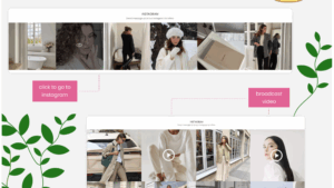 SocialFeed (v7.0.6) Photos & Video using Instagram API