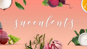 Succulents (v1.5) Healthy Lifestyle and Wellness Theme