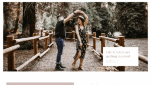 Lilian (v4.0.5) YOOtheme WordPress Theme