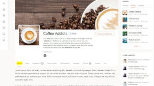 BuddyPress Group Tabs Creator Pro v.1.3.2
