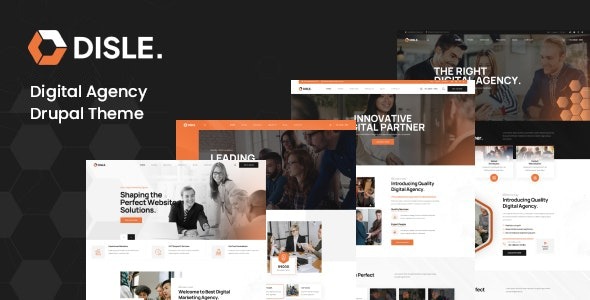 Disle v1.0.9 Digital Marketing Agency Drupal Theme