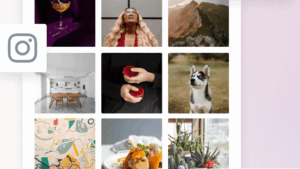 Fixed* v2.1.13 + v1.1.4 Instagram Widget & Block PRO (WPZOOM Social Feed Widget & Block Pro)