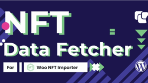 WooCommerce NFT Importer – Data Fetcher via Cronjob (Addon) v1.0