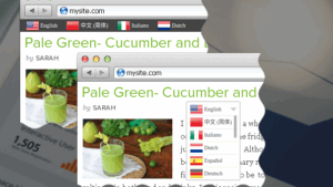 Prisna WP Translate v1.15.28