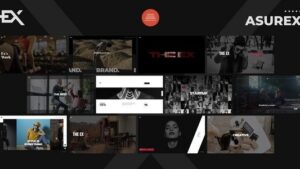 Asurex v1.0 WordPress Theme