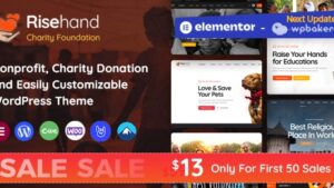 RiseHand (v1.3.5) Charity & Donation WordPress Theme
