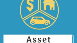 Asset Management module for UltimatePOS v3.0 [Activated]