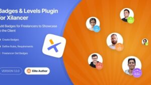 Freelancer Level Plugin for Xilancer (4 June 2024) Freelancer Marketplace Platform