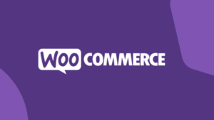 Custom Shipping Methods for WooCommerce Pro v1.9.1