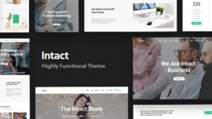 Intact (v4.3) Multi-Purpose WordPress Theme