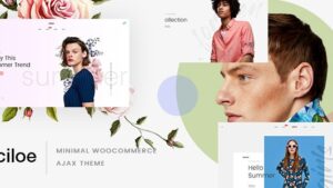 Ciloe (v1.6.2) Multipurpose theme for WooCommerce