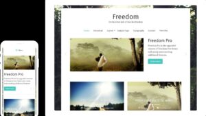 Freedom Pro v2.2.1 Photography WordPress Theme