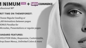 MINIMUM (v4.1) Professional WordPress Theme