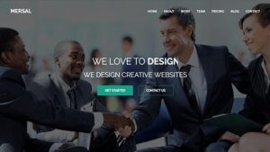 Mersal (v1.0) One Page MultiPurpose WordPress Theme