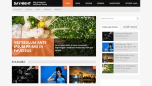 MyThemeShop Daynight WordPress Theme v1.1.1