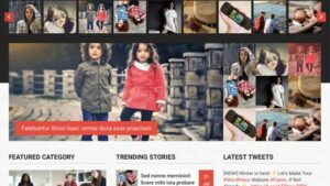 MyThemeShop Immunity WordPress Theme v1.2.3