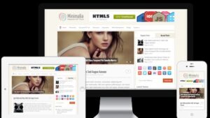 MyThemeShop Minimalia WordPress Theme v1.3.1