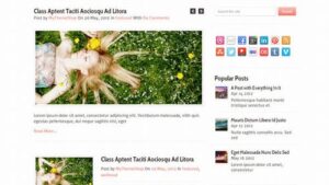 MyThemeShop Pureview WordPress Theme v1.1.2