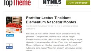 MyThemeShop Top (v1.2.0) WordPress Theme