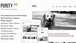 Purity (v4.5.1) Responsive, Minimal & Bold WP Theme