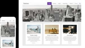 Radiate Pro v2.3.4 Favourite theme of Bloggers
