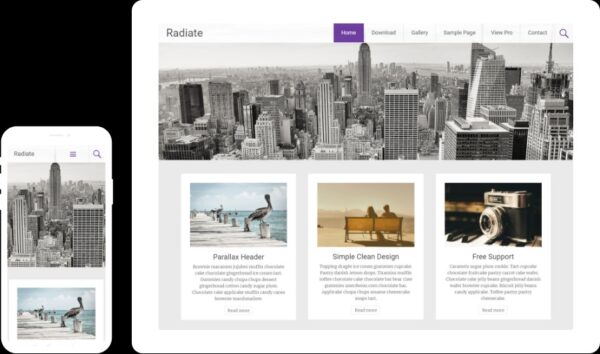 Radiate Pro v2.3.4 Favourite theme of Bloggers