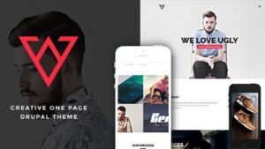 Viska (v1.9.1) Creative One Page WordPress Theme