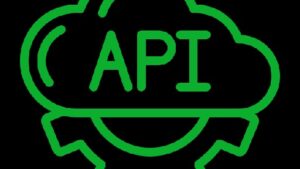 WPCargo API Addon v5.1.1