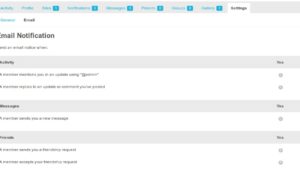 BuddyPress Default Email Notification Settings Control v.1.1.1